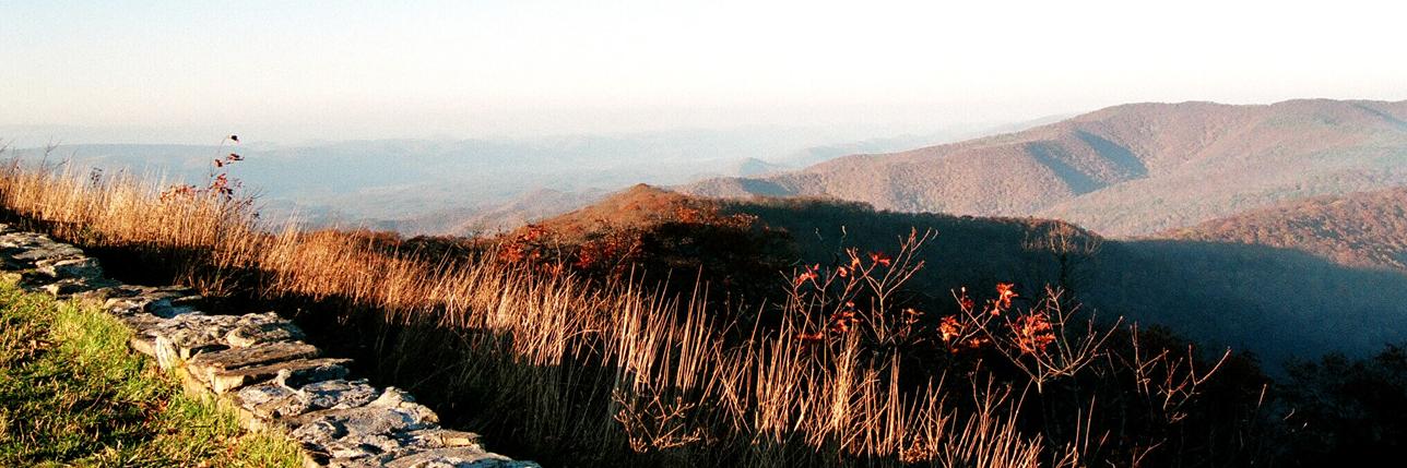 rscheuermann's profile banner image