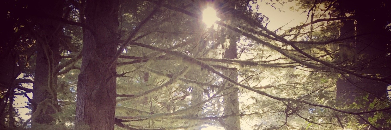msuttonlong's profile banner image