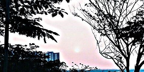 _19FL's profile banner image