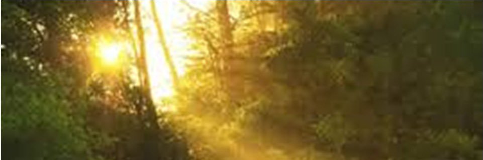 Quiquener's profile banner image