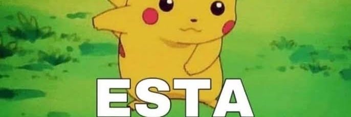 mamalotwit-ter2040 banner