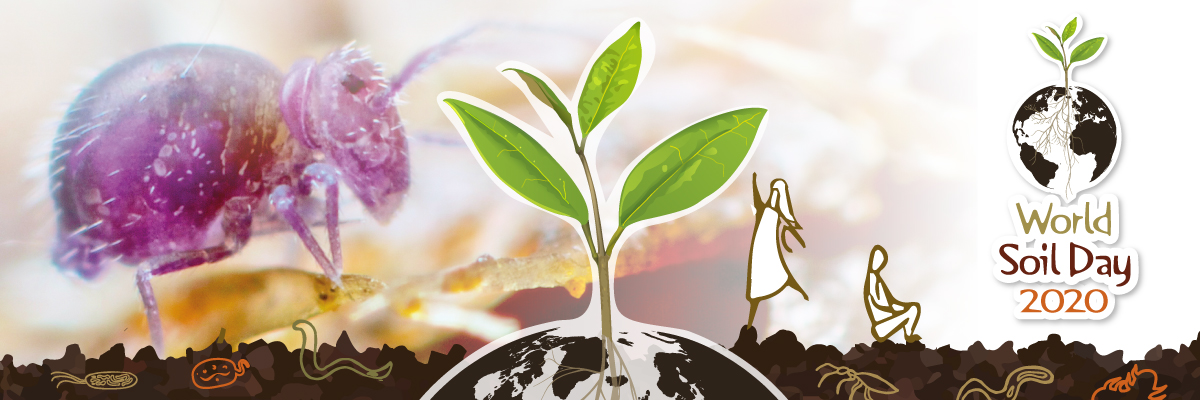 NCPCSL's profile banner image