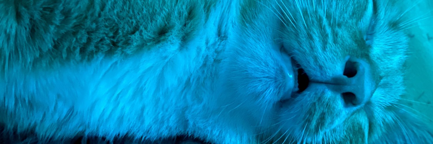 TJmason27's profile banner image