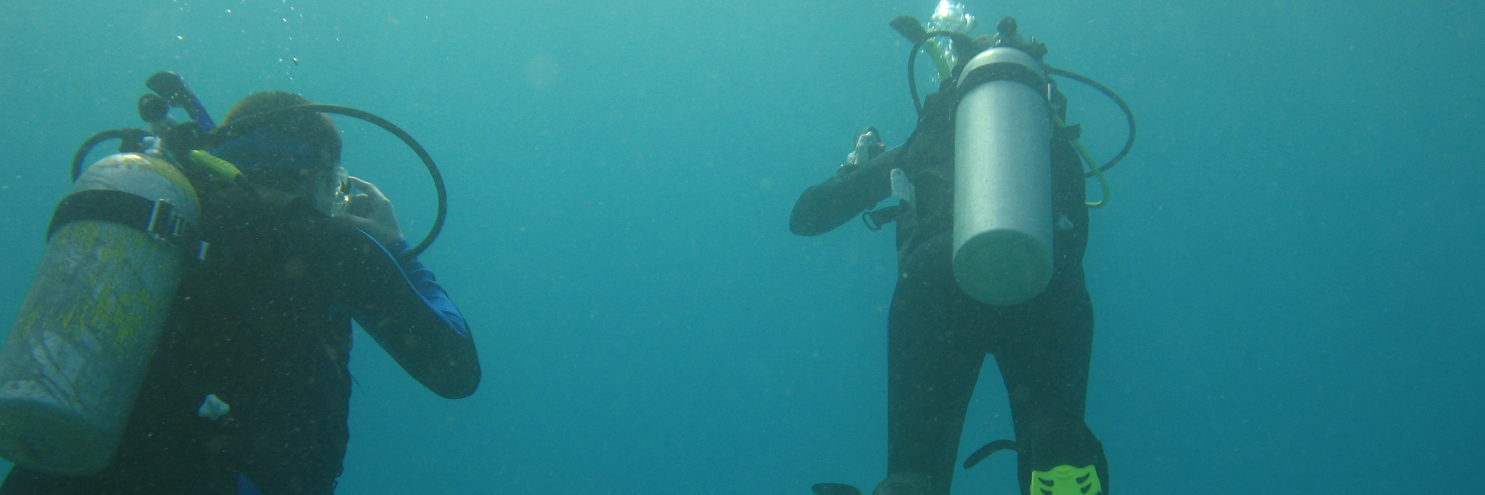 Patrick Lewis banner