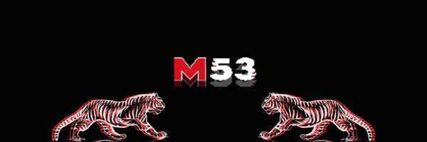 M53CTF Profile Banner