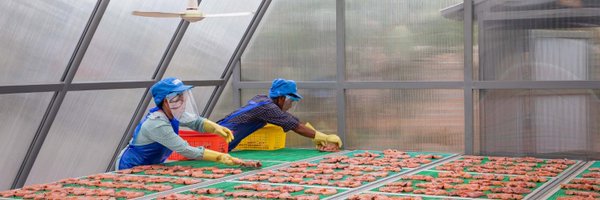 UNIDO Profile Banner