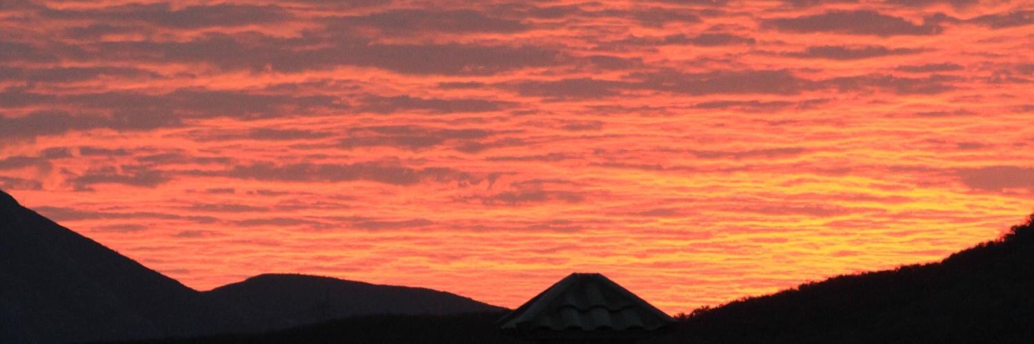 Rogelio De los Santos banner