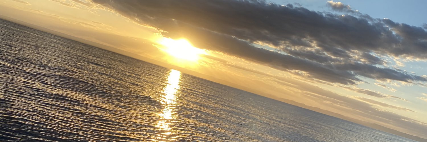 tanosu's profile banner image
