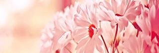 naAa8a's profile banner image