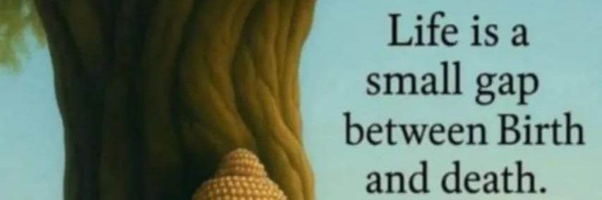 insanely_curious banner