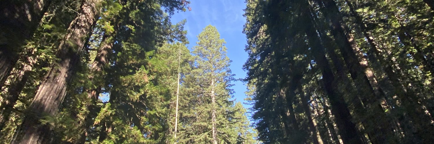 CarlyKocik's profile banner image