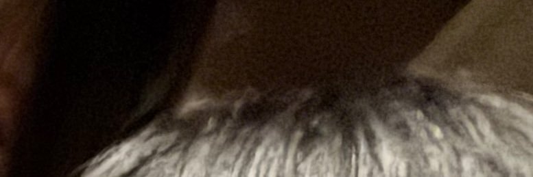 v__o09's profile banner image