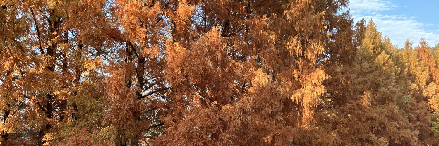 (´・ω・｀) banner