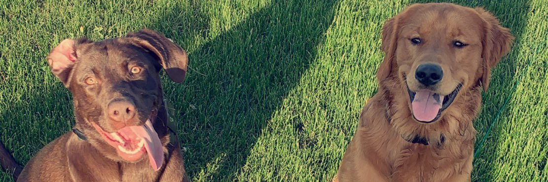 trizzyb12's profile banner image