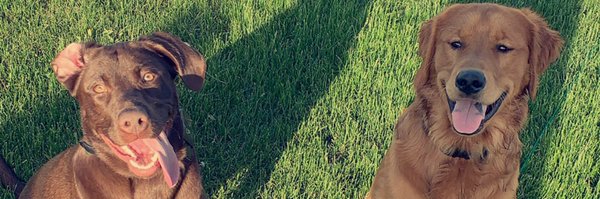 trizzyb12 Profile Banner