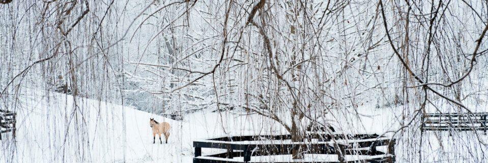 joaniep's profile banner image