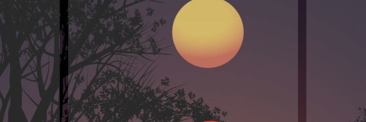 esitabegum's profile banner image