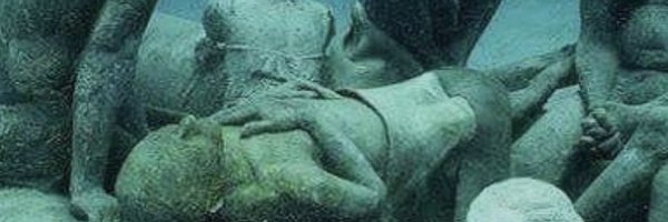 Tenzoyamatoo Profile Banner