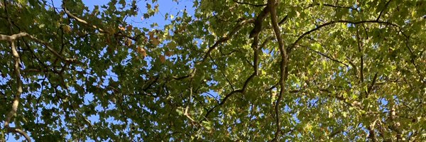 EunjungLee_LDN Profile Banner