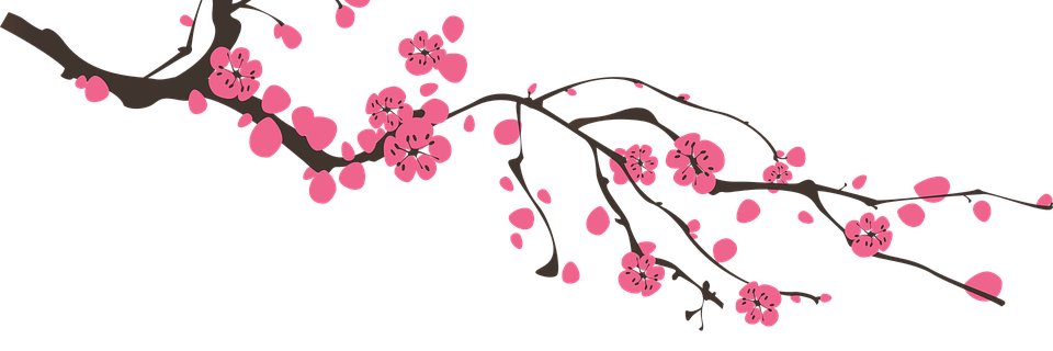 erasesolution's profile banner image