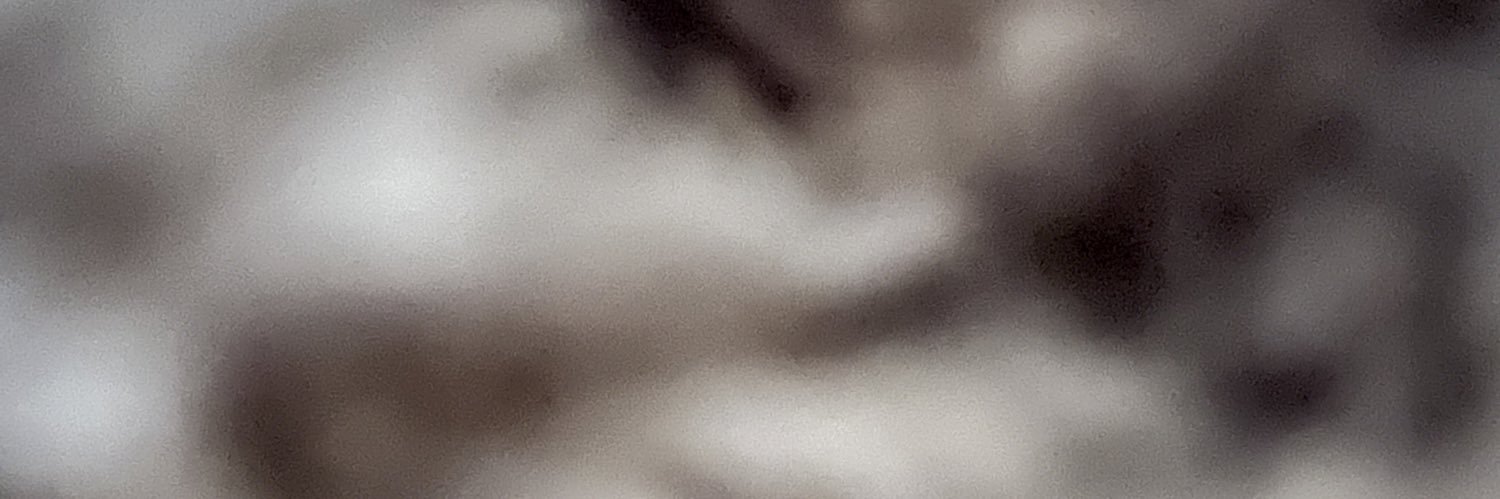 KimZ1111's profile banner image