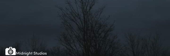 FearTheBat88's profile banner image