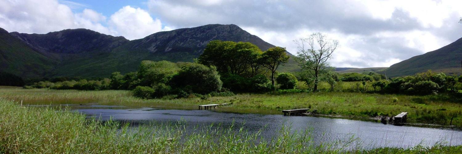 Matthieu Seignez banner