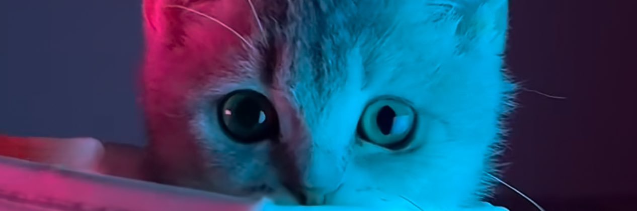rez90800's profile banner image