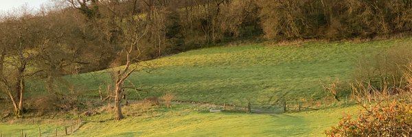 melrossdigital Profile Banner