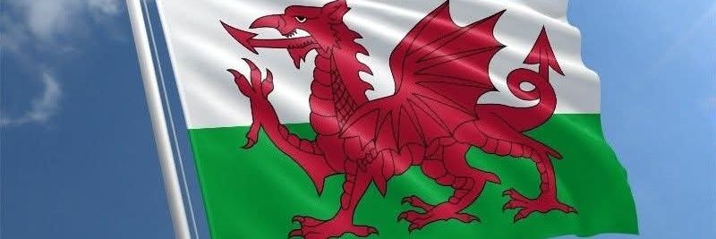 Rhun ap Flashio banner