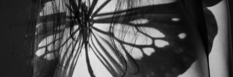 Florentin d'Ÿ banner