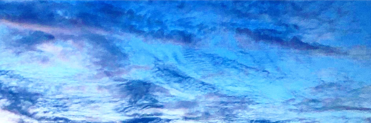 Stephanie Meyers banner