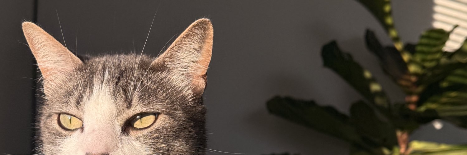 Hoooseeey's profile banner image