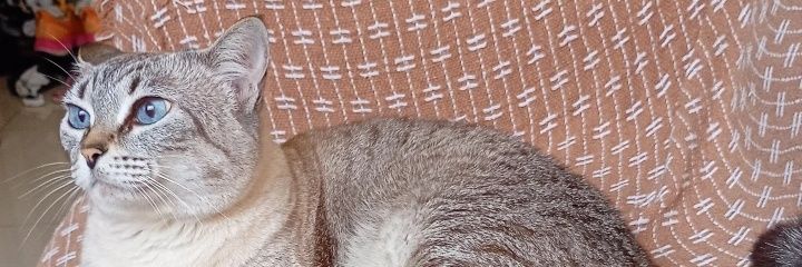SGGap17's profile banner image