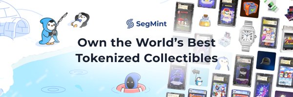 SegMintIO Profile Banner