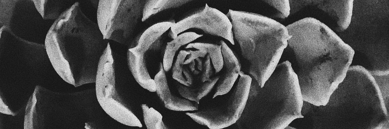 Leeogsm's profile banner image