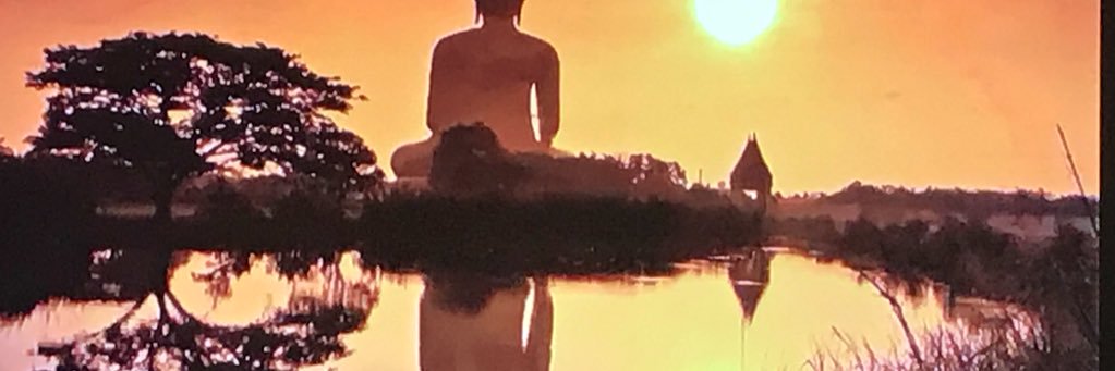 rommeltz4's profile banner image