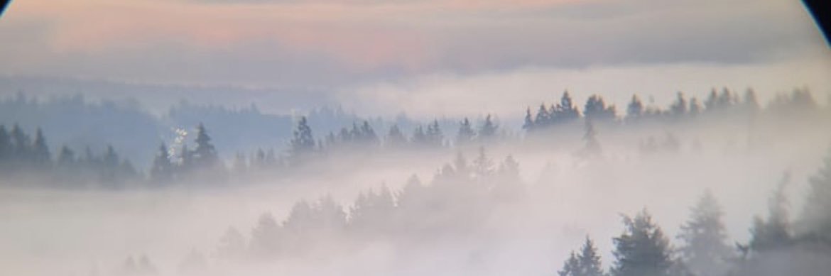 t-on-y banner