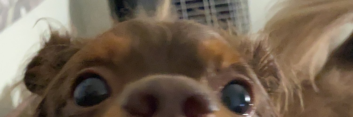 kassandra. banner