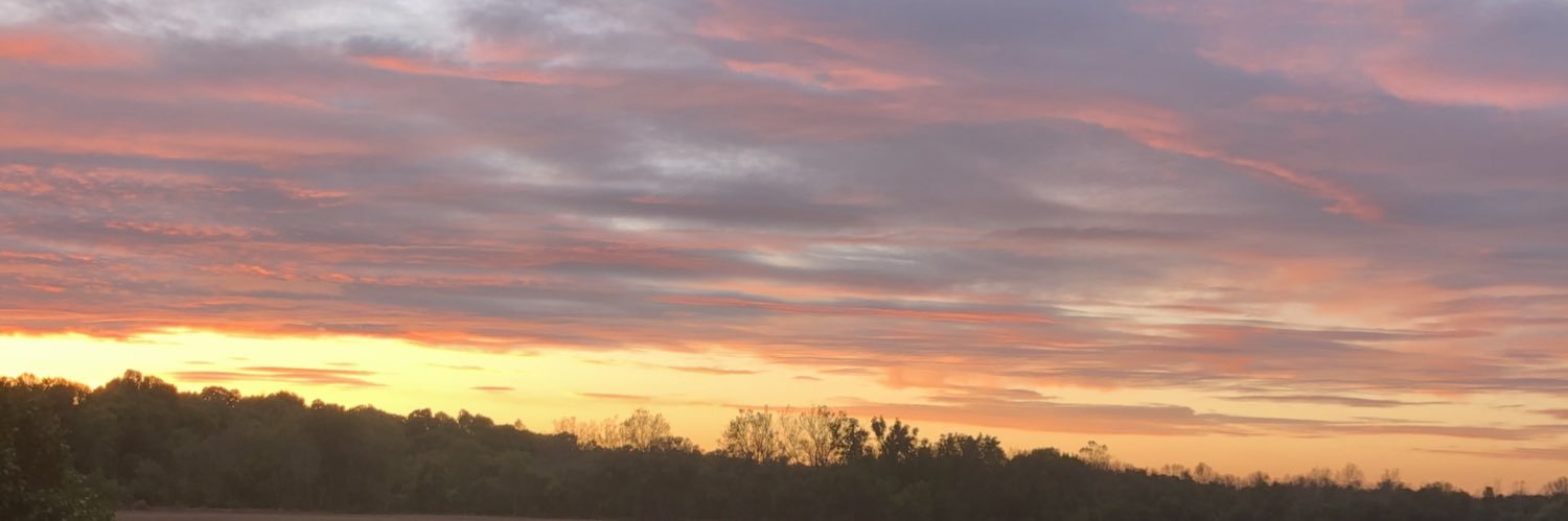 tom5909's profile banner image
