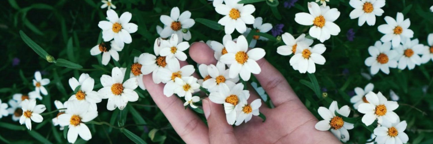 YasmenJase's profile banner image