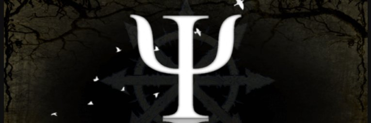 Zeynep banner