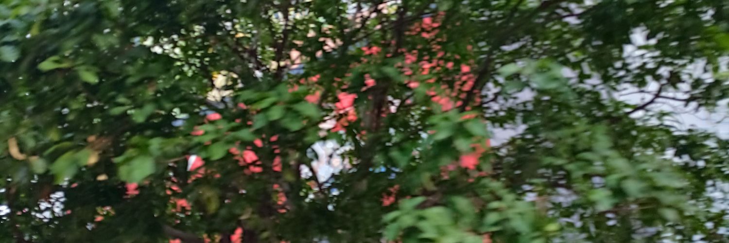 tính đỗ banner