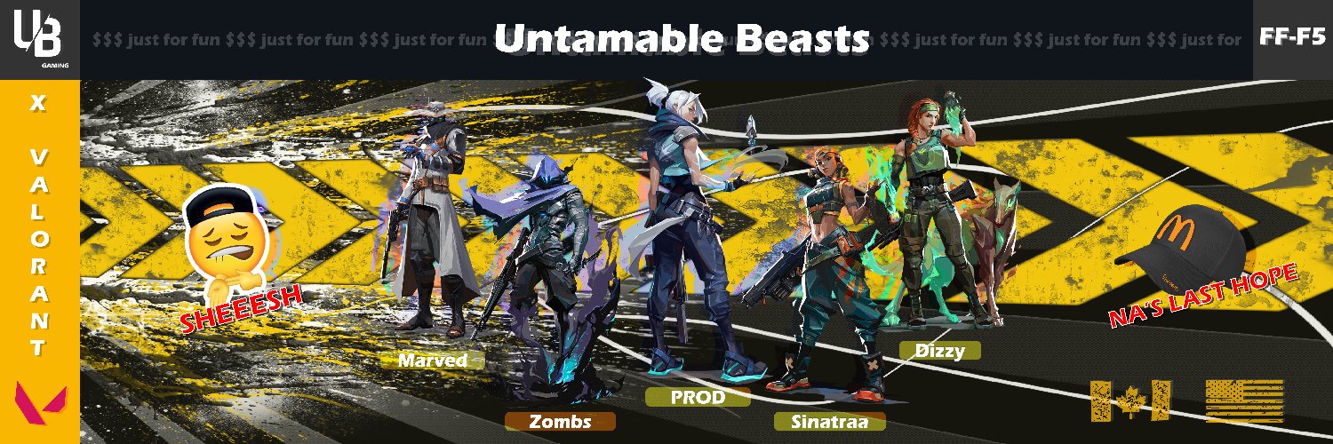 UBGaming_NA's profile banner image