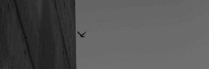 بابا صابر banner