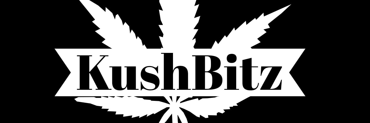 KushhhbitzJosh's profile banner image