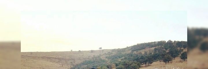 LIVNI_10's profile banner image