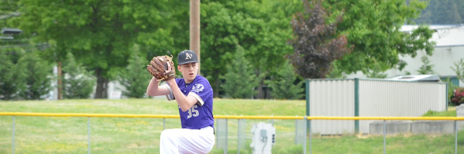 Roman Collins banner