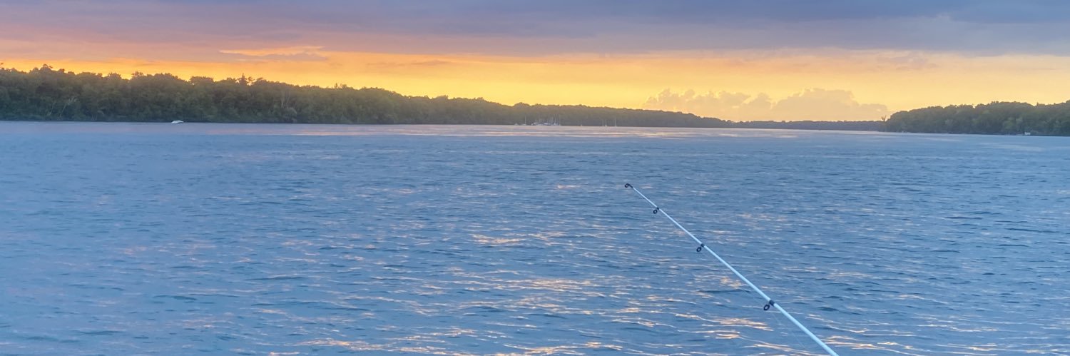 NYmomma5's profile banner image