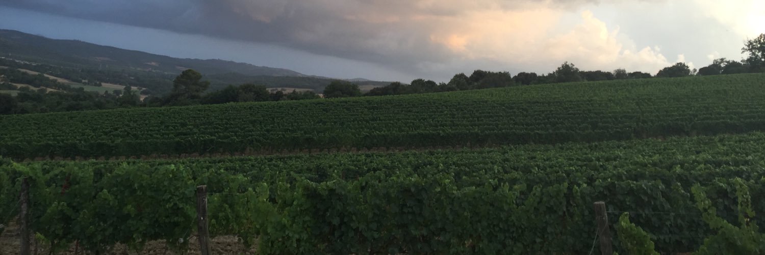 diegalediegale's profile banner image